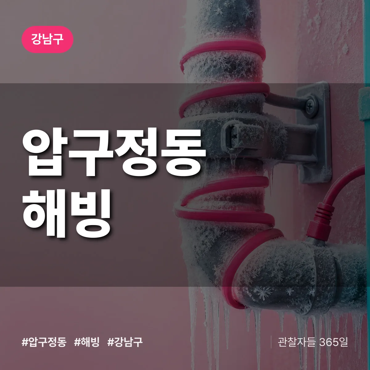 강남구 압구정동 해빙 상담 배너