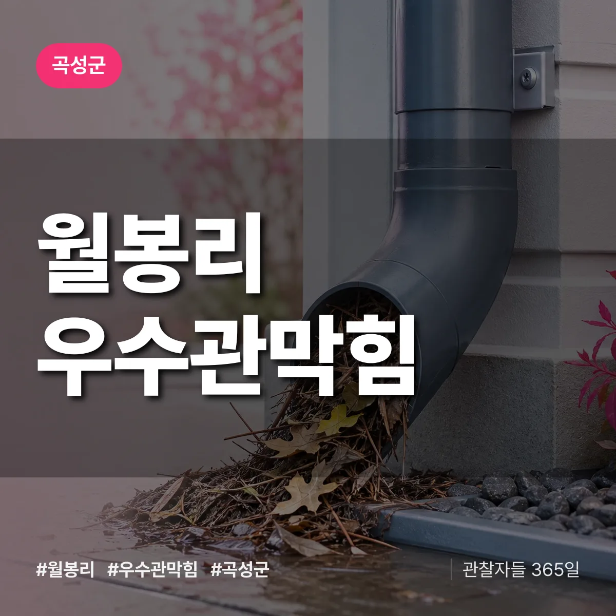 월봉리 우수관막힘 배너