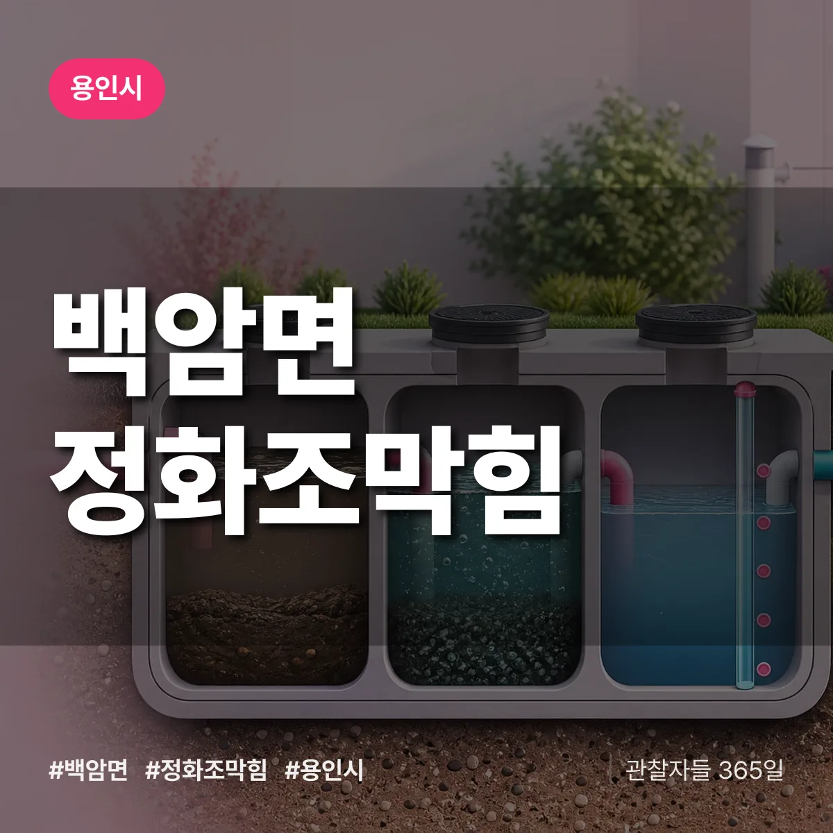 백암면 정화조막힘 배너