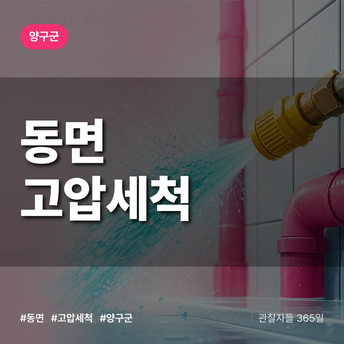 동면 고압세척 배너