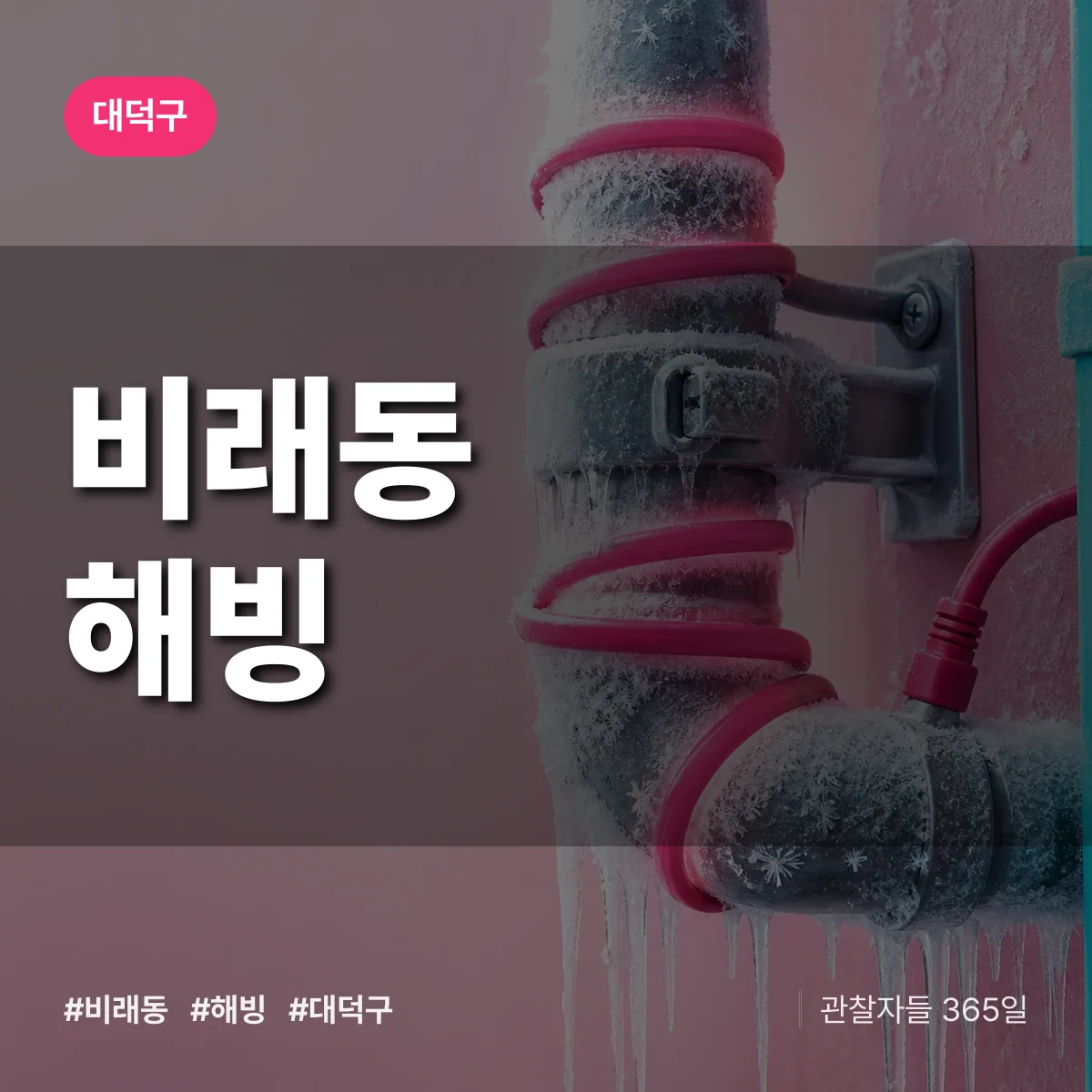 비래동 해빙 배너