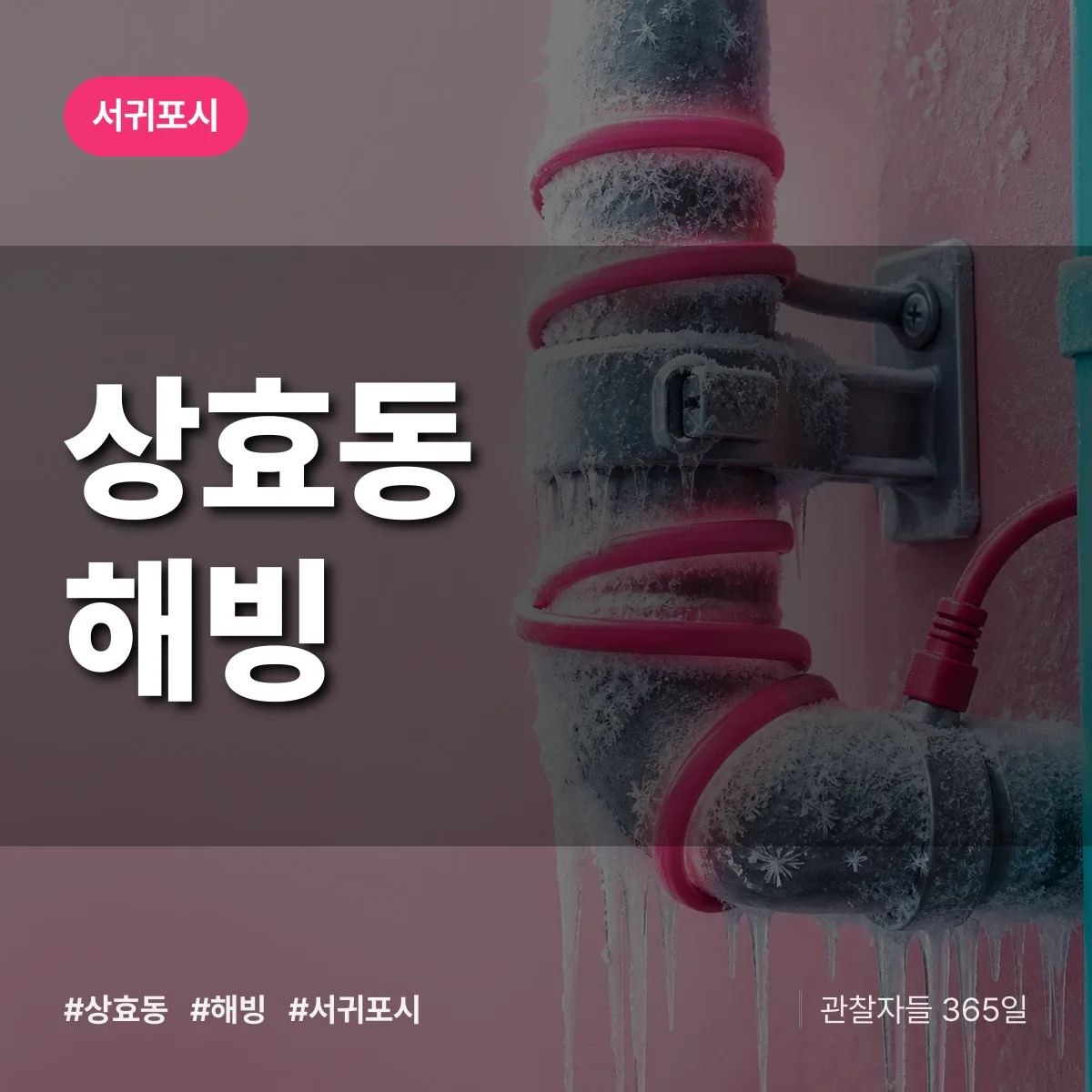 상효동 해빙 배너