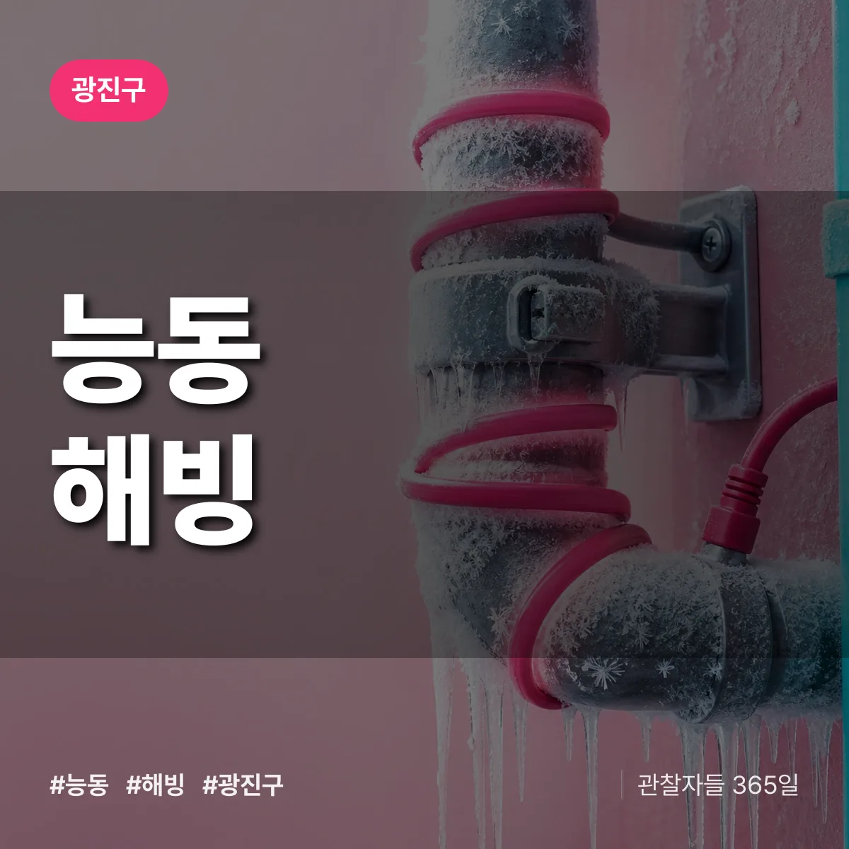능동 해빙 배너