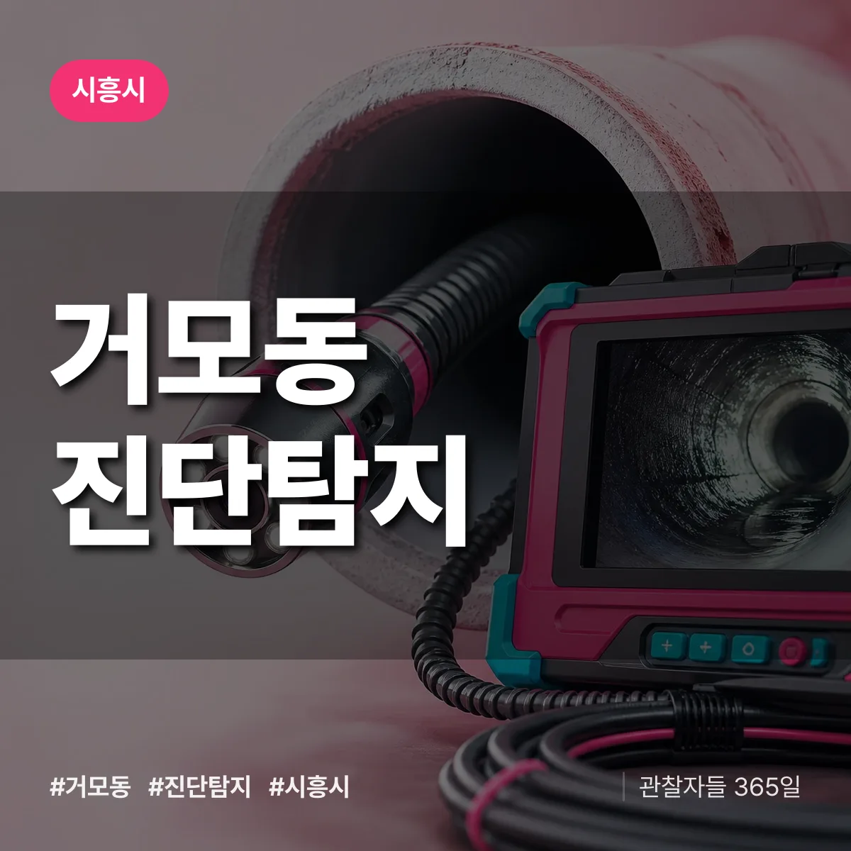 시흥시 거모동 진단/탐지 상담 배너