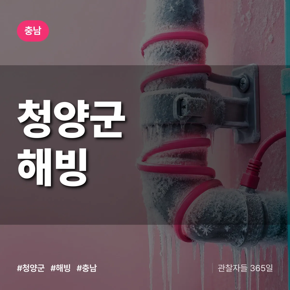 충남 청양군 해빙 배너