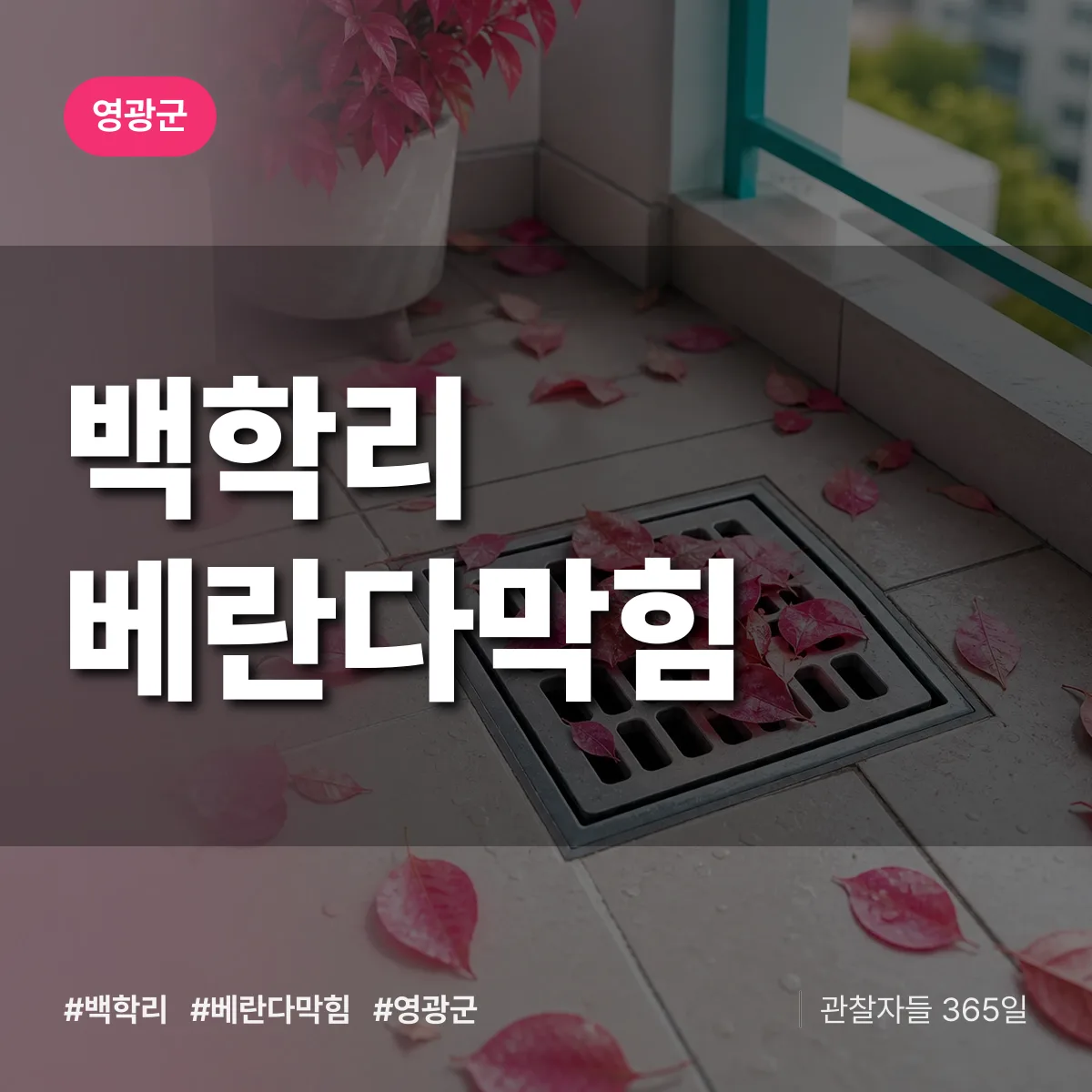 백학리 베란다막힘 배너
