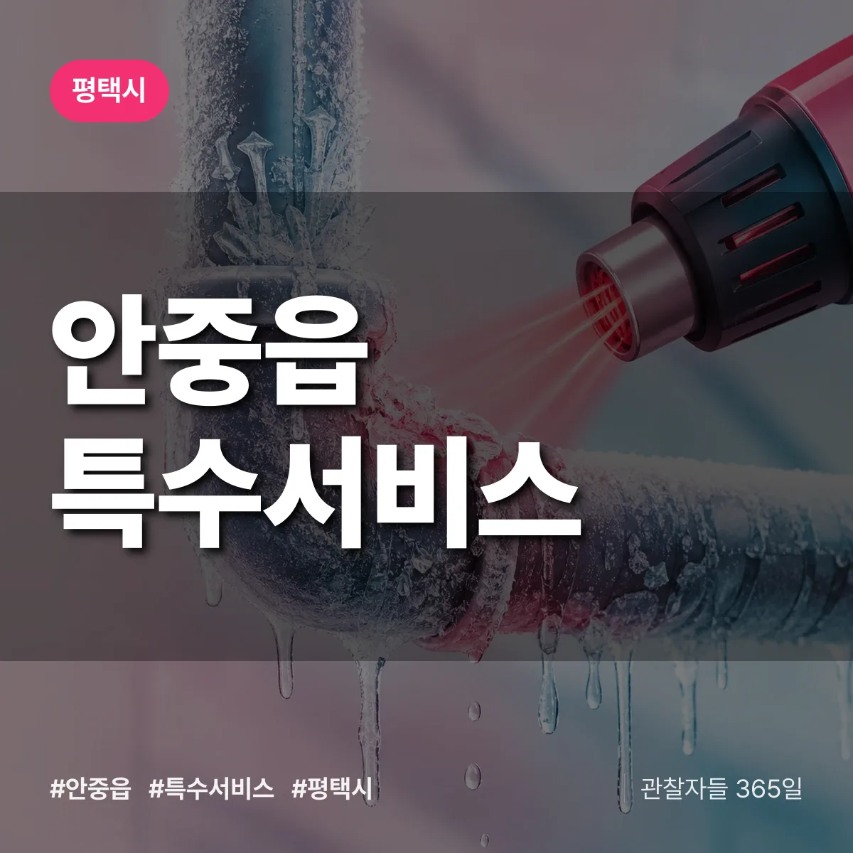 평택시 안중읍 특수서비스 상담 배너