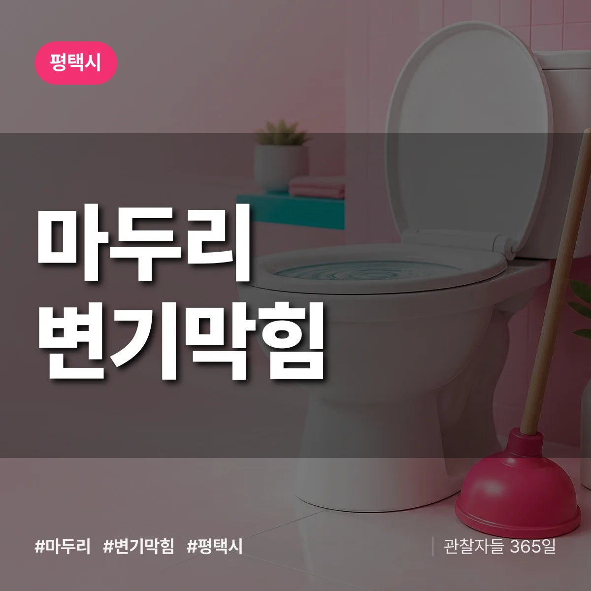 마두리 변기막힘 배너