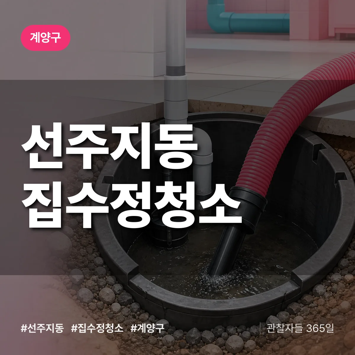 선주지동 집수정청소 배너