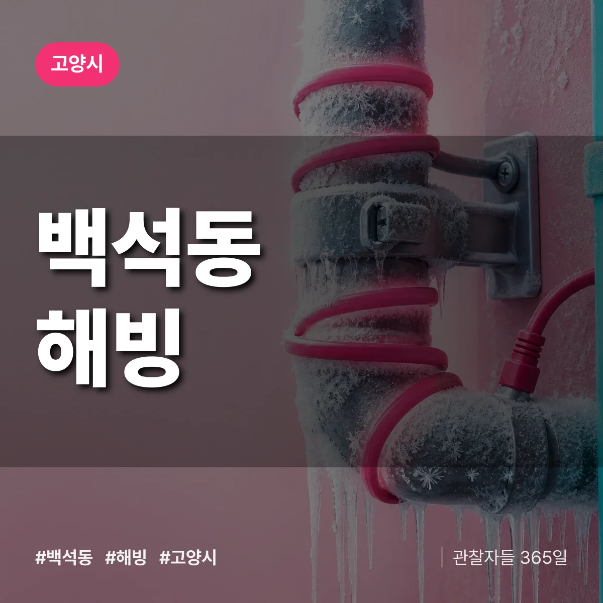백석동 해빙 배너