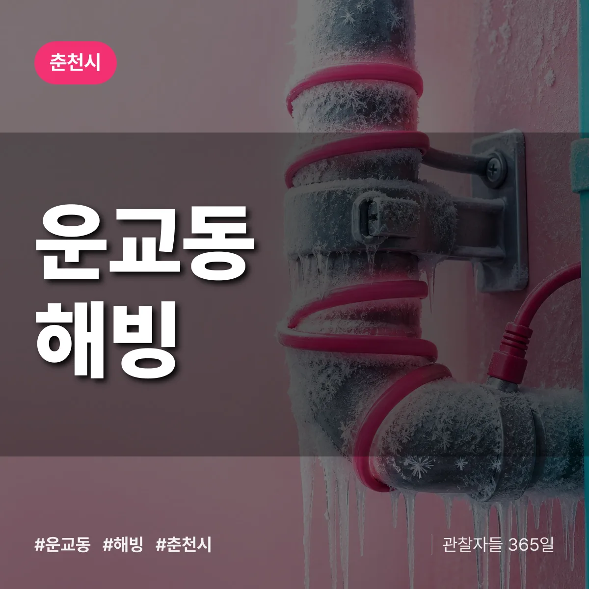 운교동 해빙 배너