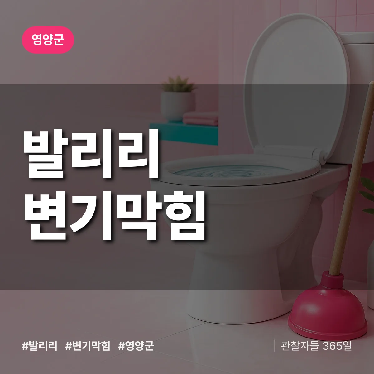 경북 영양군 발리리 변기막힘 배너