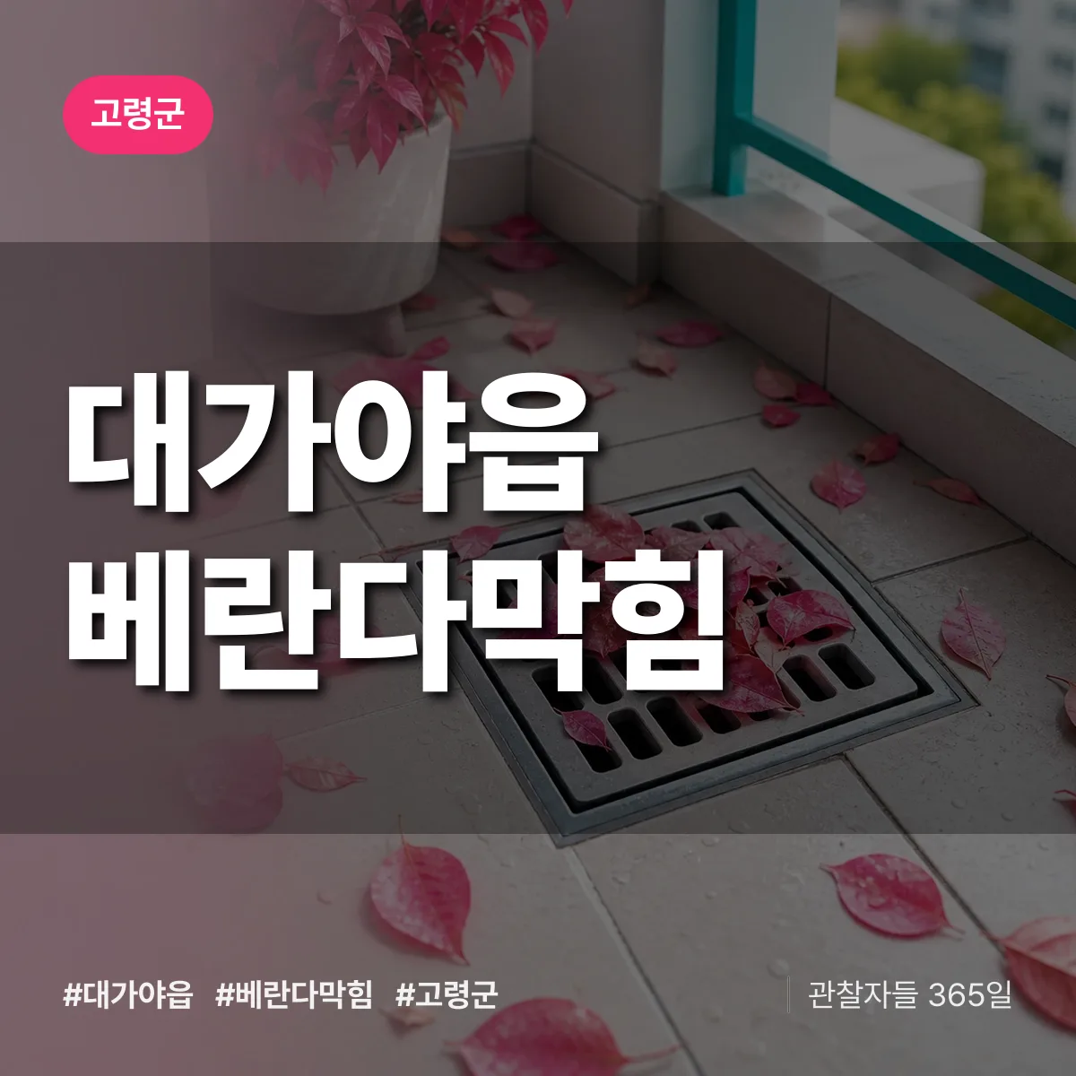 대가야읍 베란다막힘 배너
