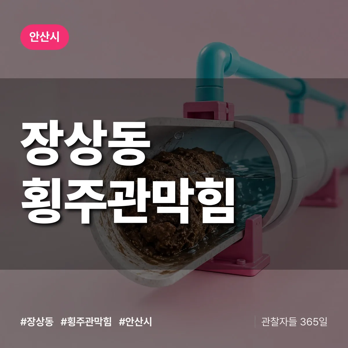 안산시 장상동 횡주관막힘 상담 배너