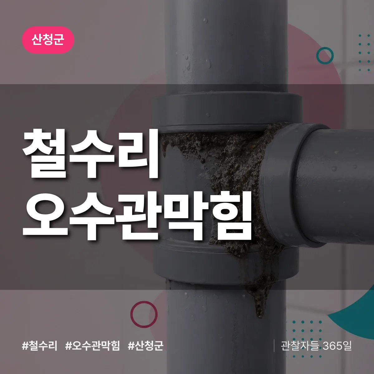 철수리 오수관막힘 배너