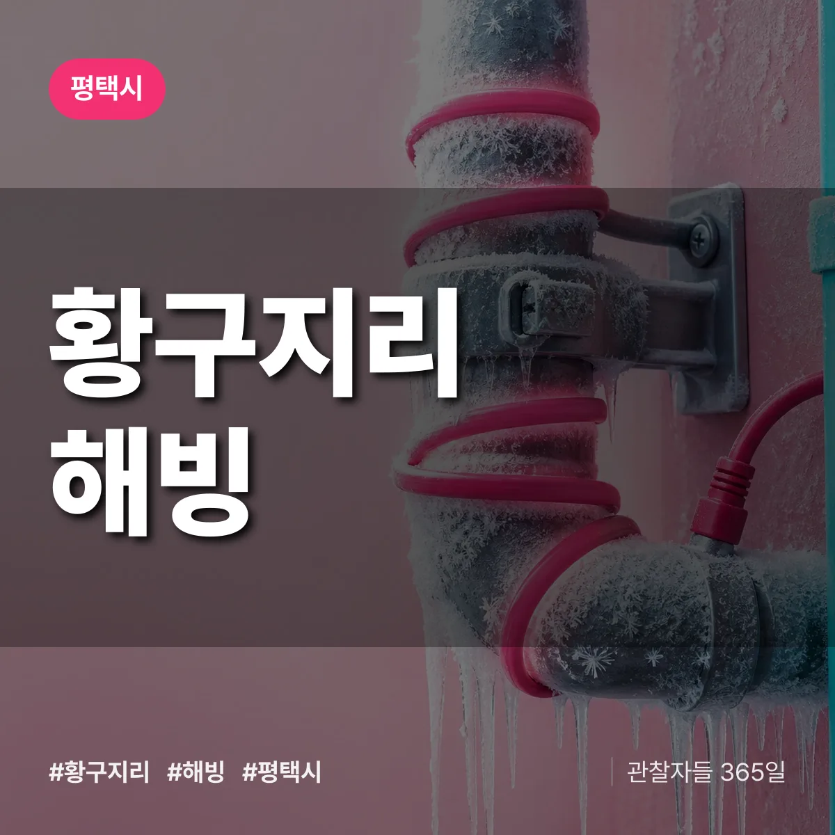 황구지리 해빙 배너
