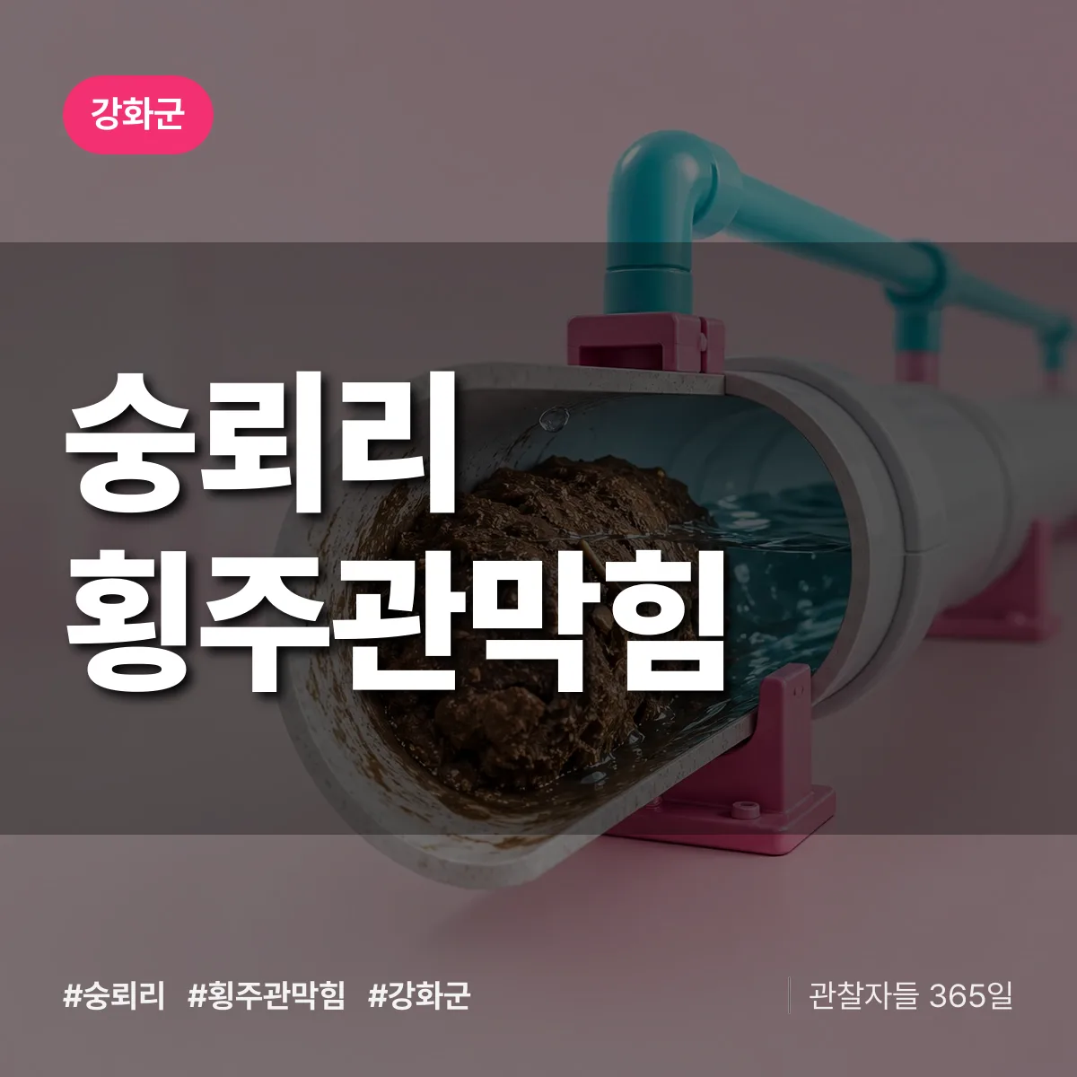 강화군 숭뢰리 횡주관막힘 상담 배너