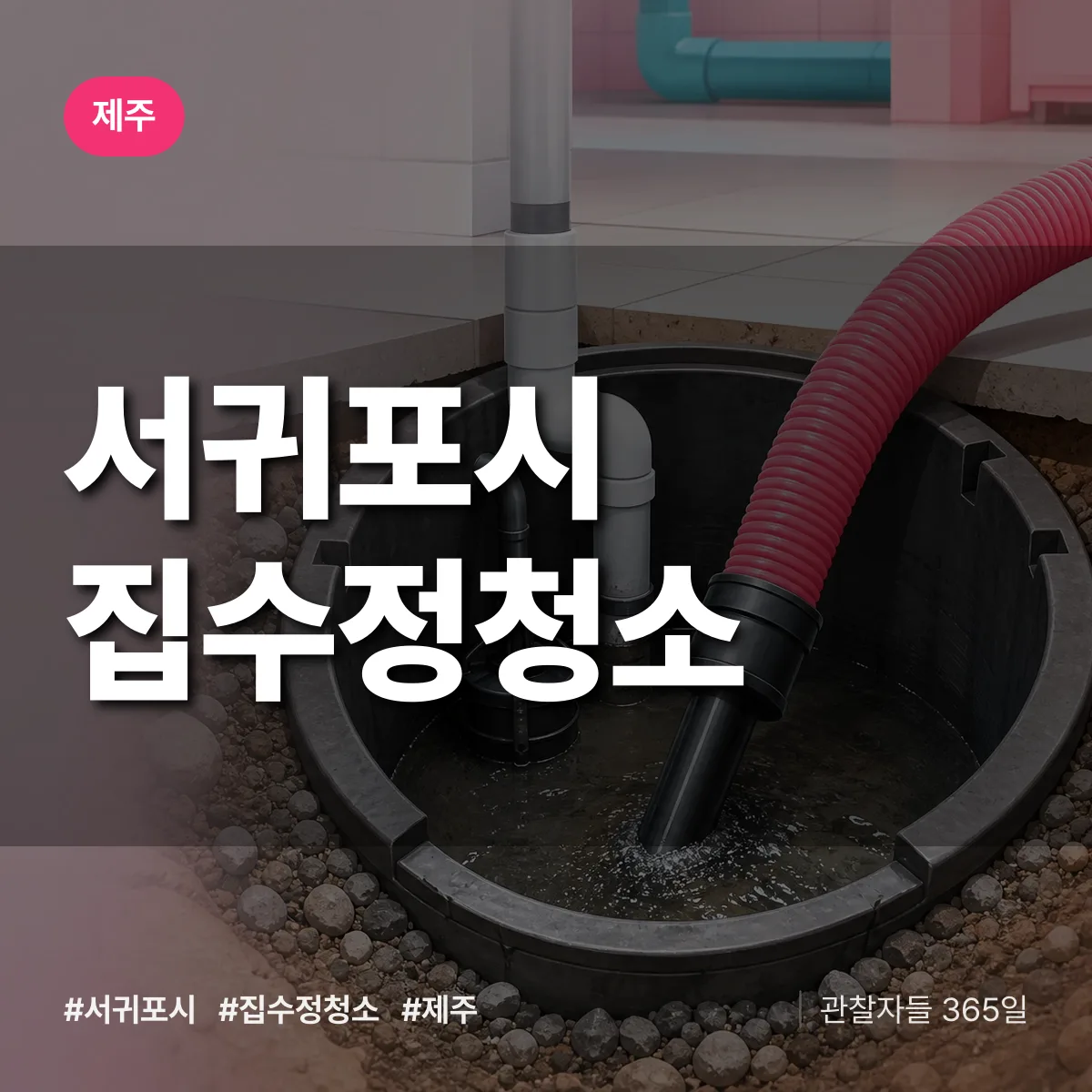 제주 서귀포시 집수정청소 배너