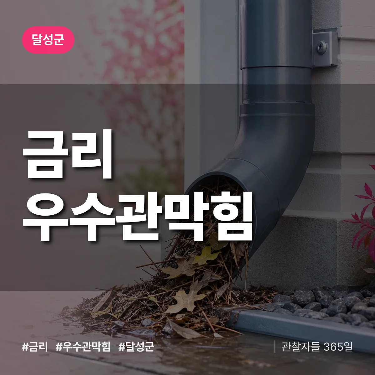 달성군 금리 우수관막힘 상담 배너