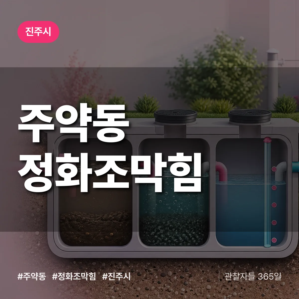 주약동 정화조막힘 배너