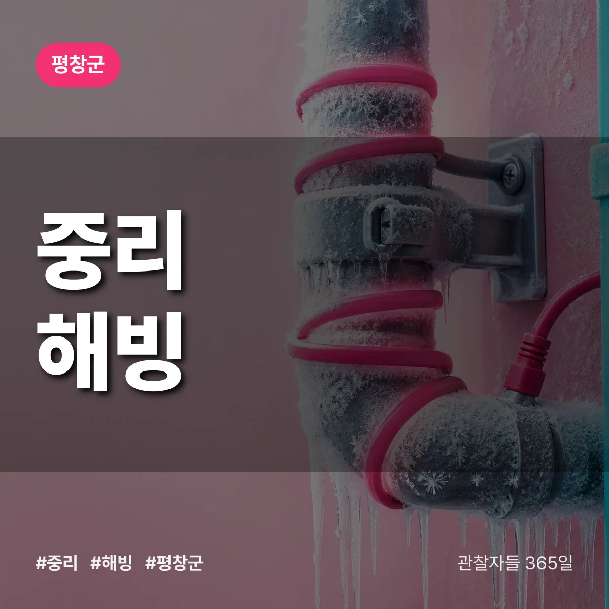 중리 해빙 배너