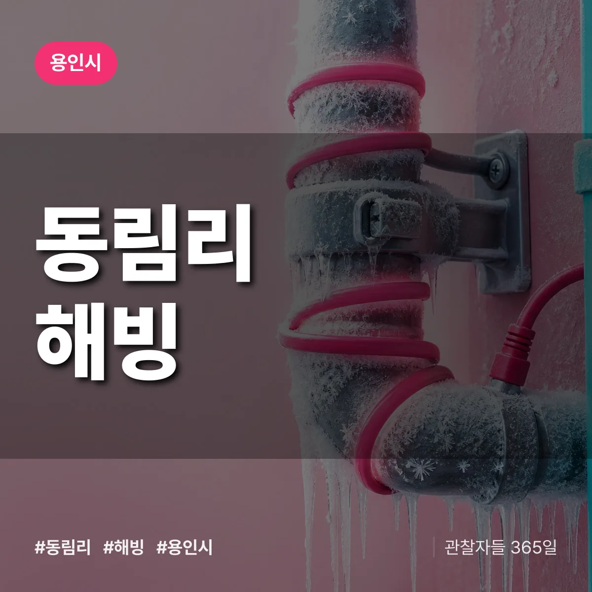 동림리 해빙 배너