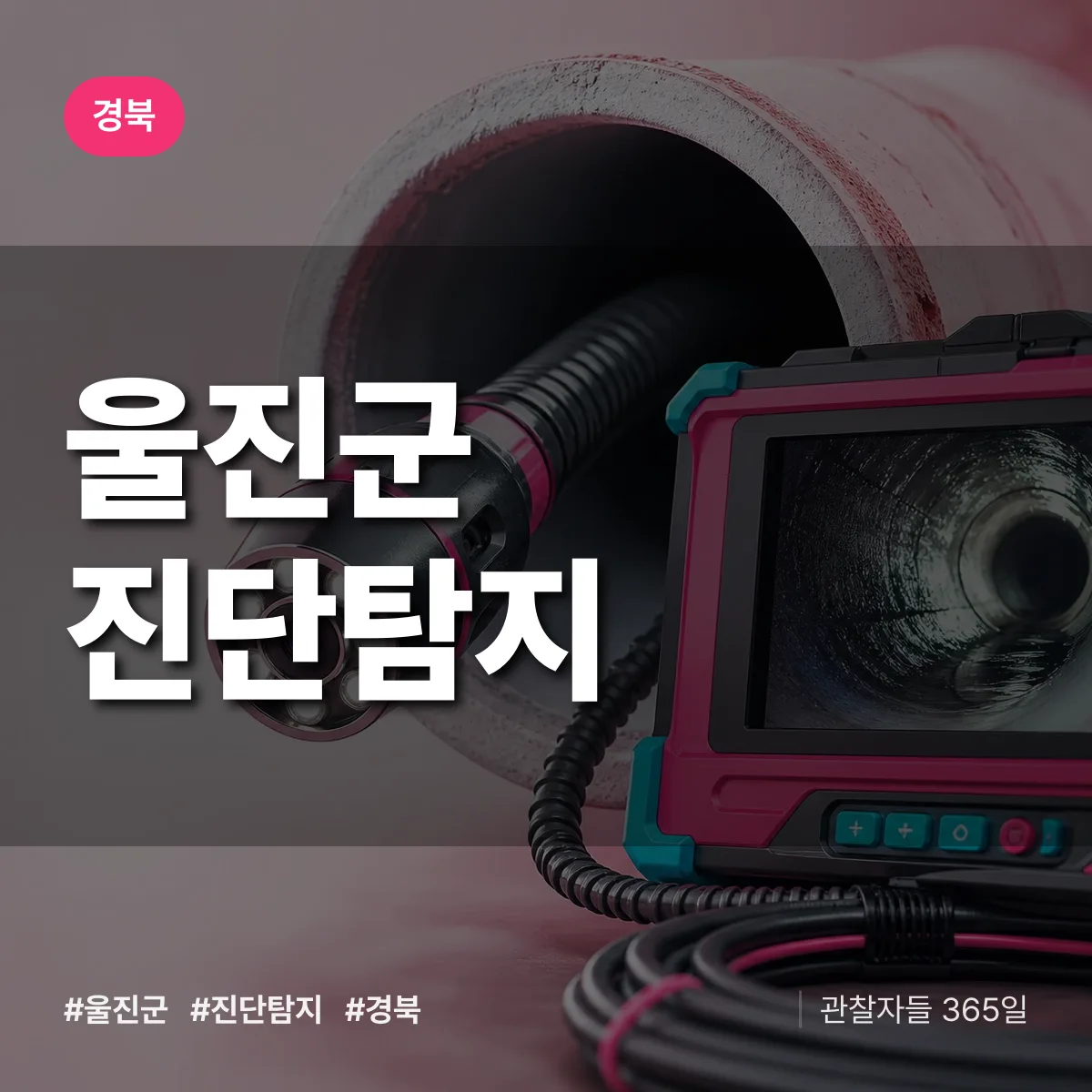 경북 울진군 진단/탐지 상담 배너