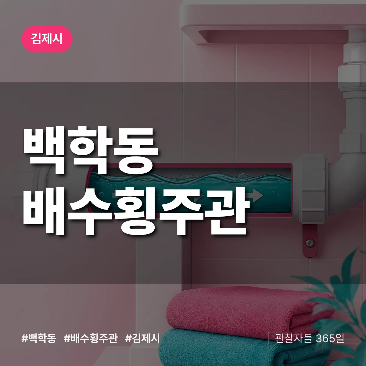 백학동 배수횡주관 배너