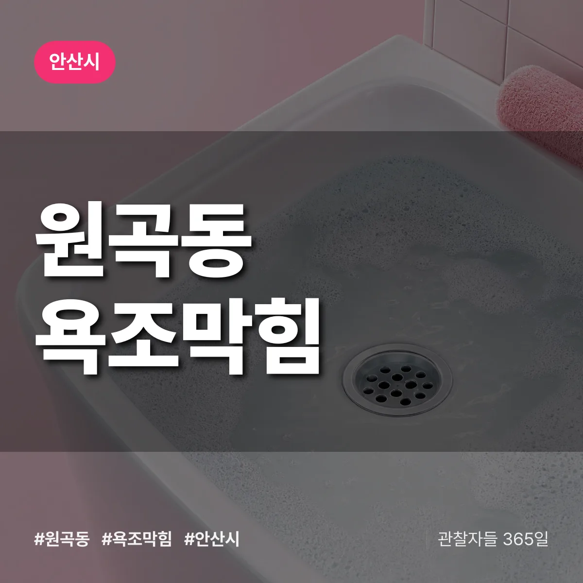 원곡동 욕조막힘 배너
