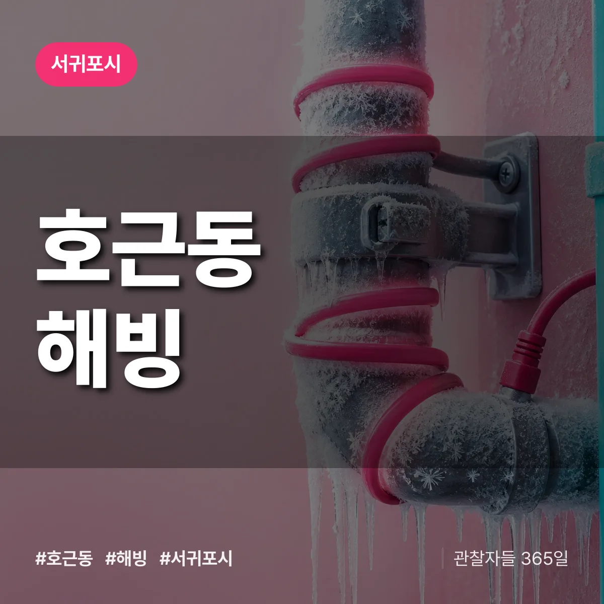 호근동 해빙 배너