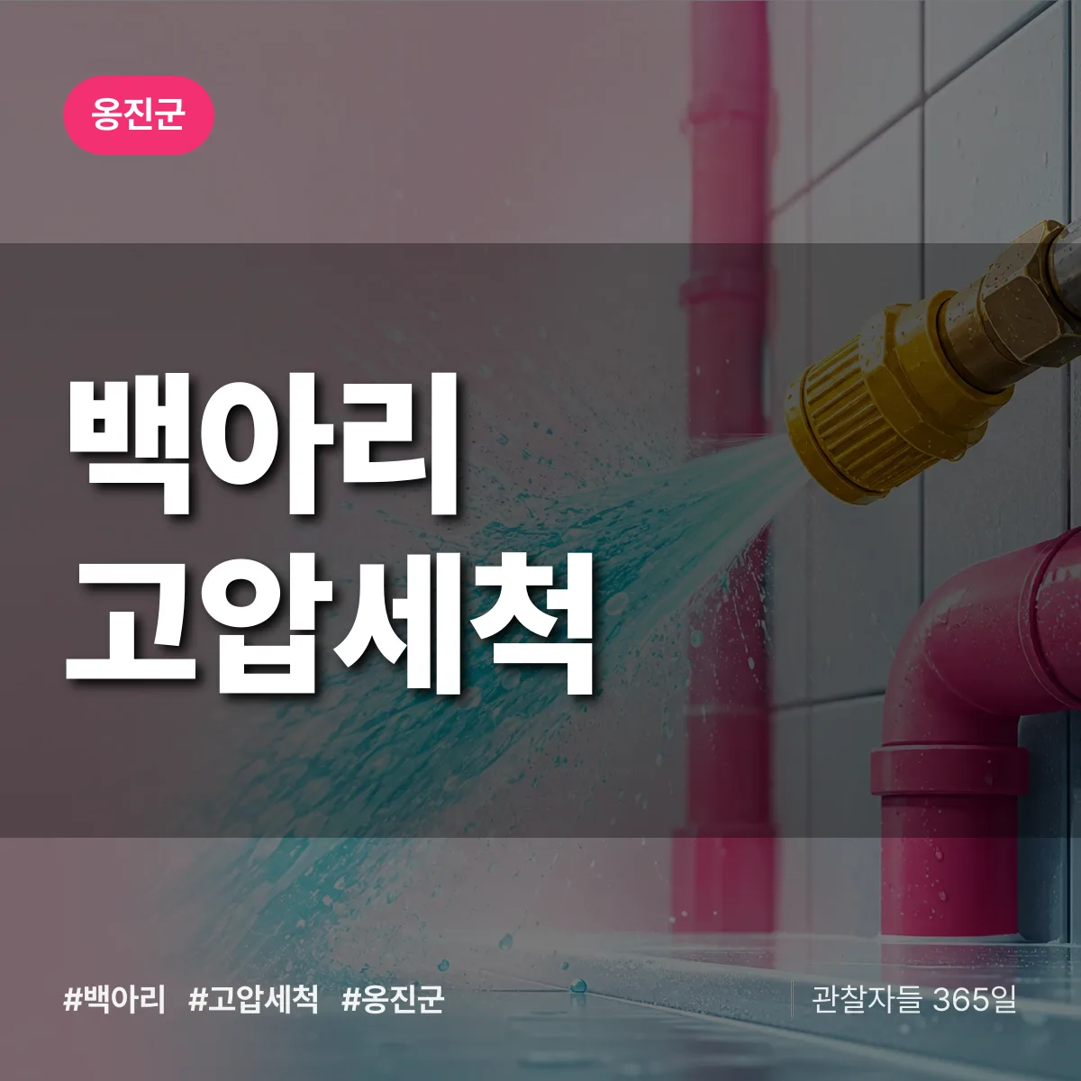 백아리 고압세척 배너