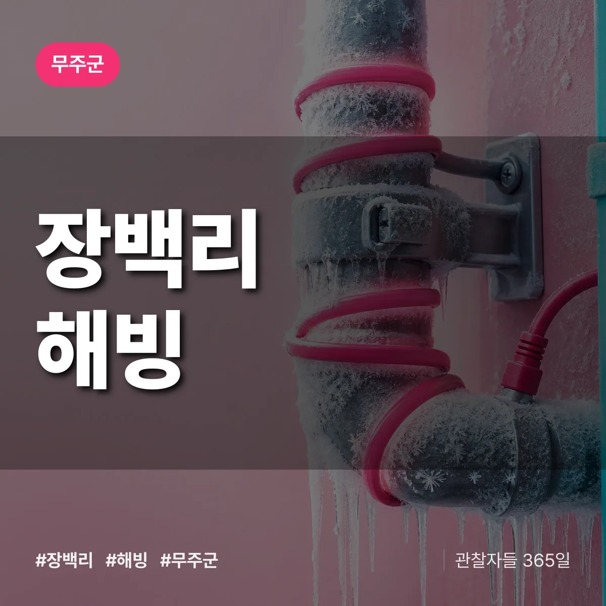 장백리 해빙 배너