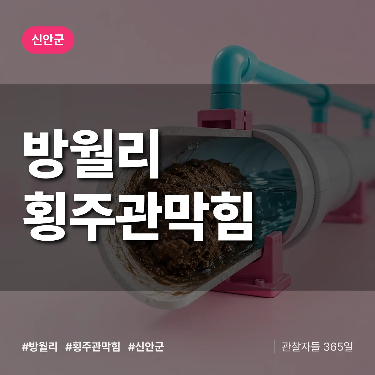 방월리 횡주관막힘 배너