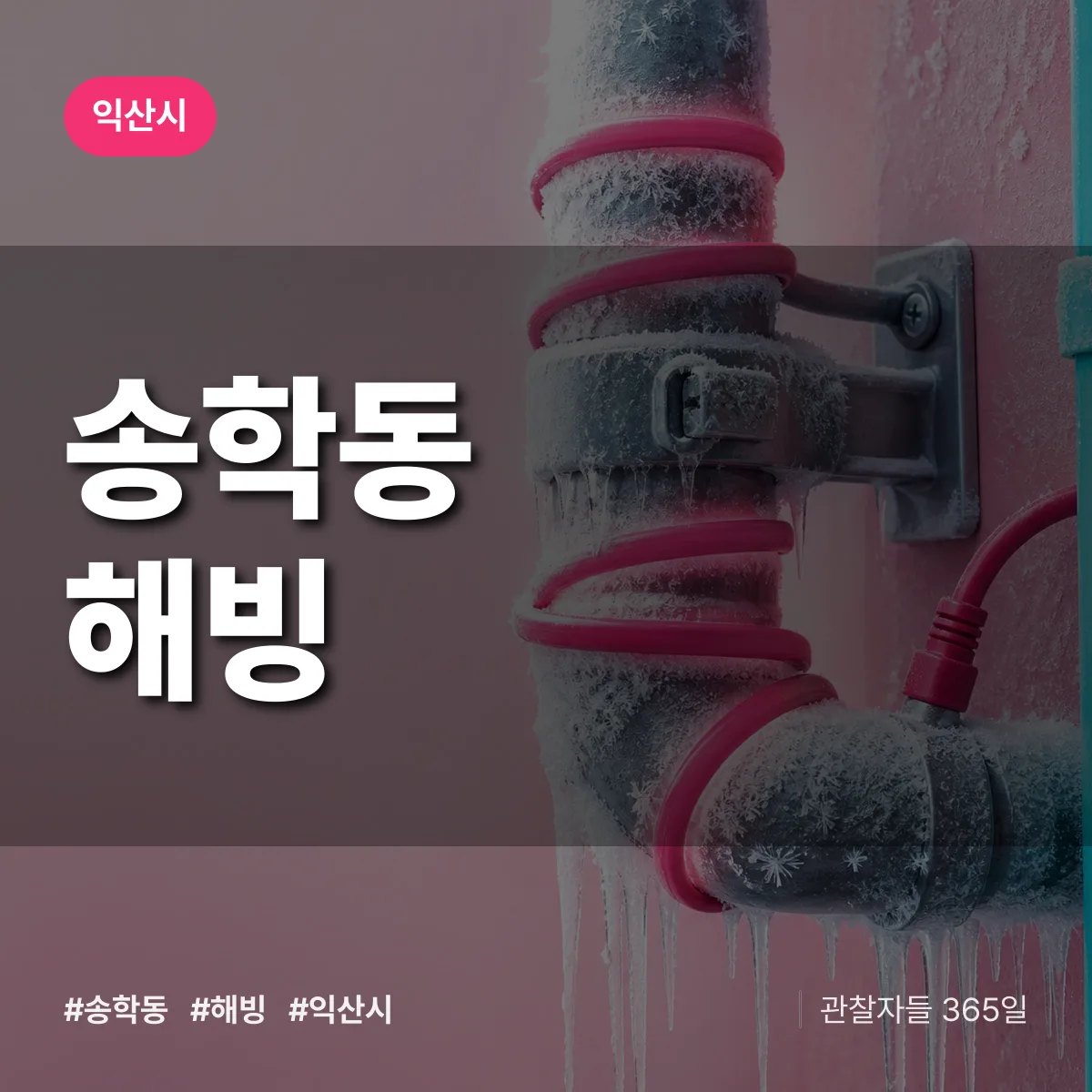 송학동 해빙 배너