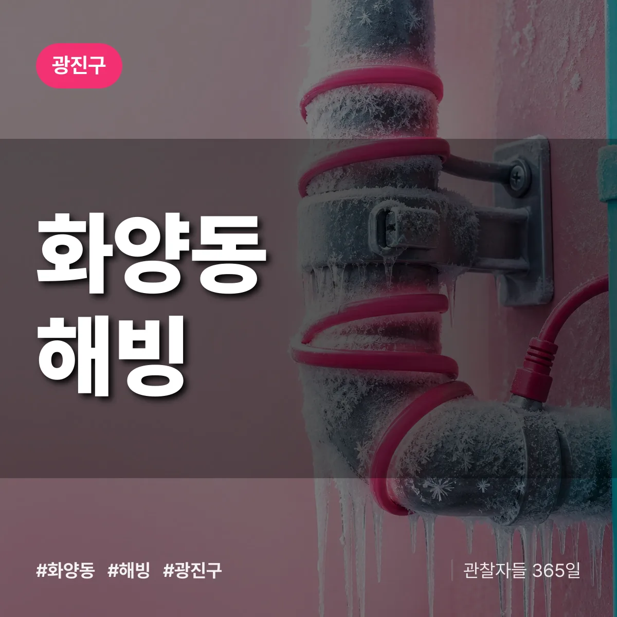 화양동 해빙 배너