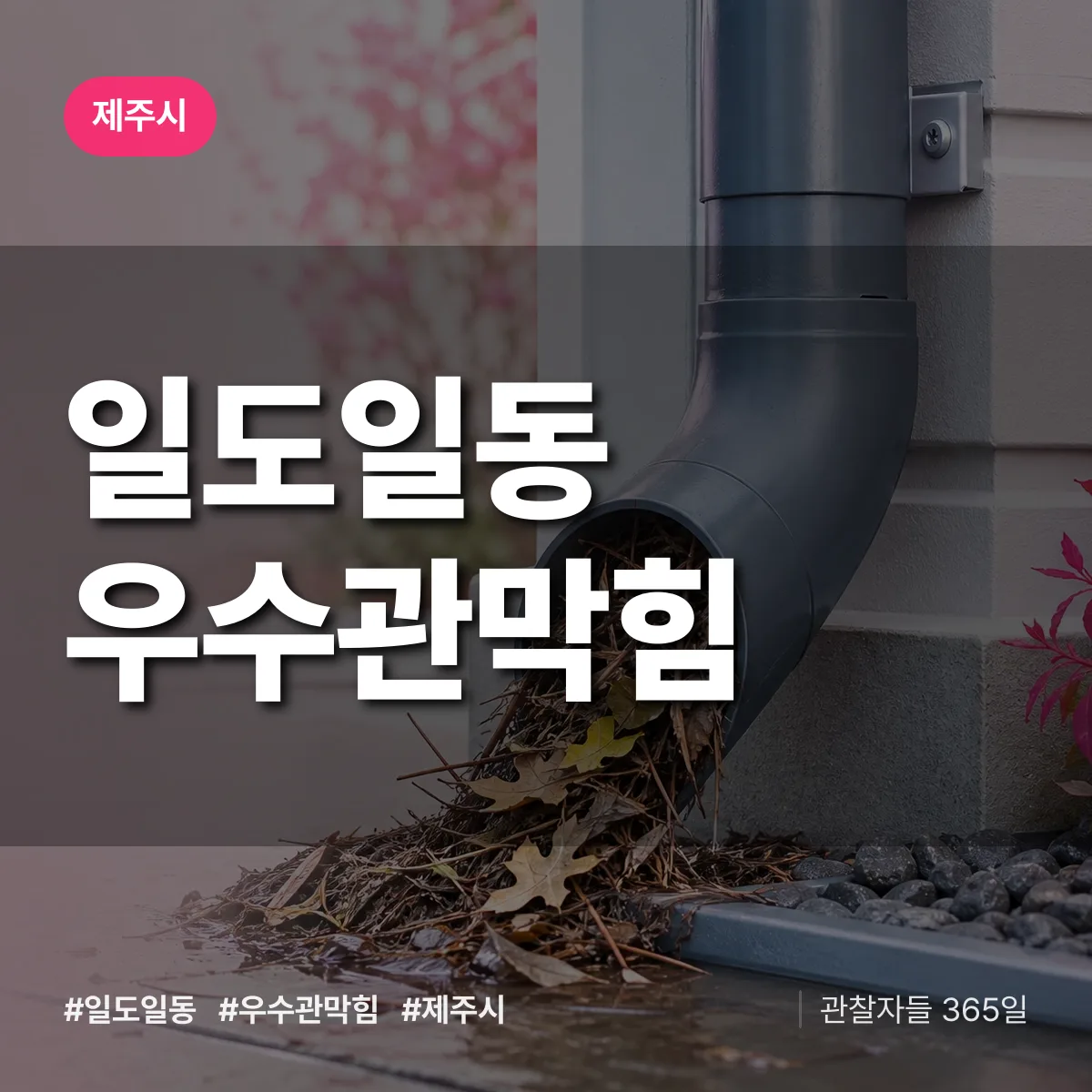 일도일동 우수관막힘 배너