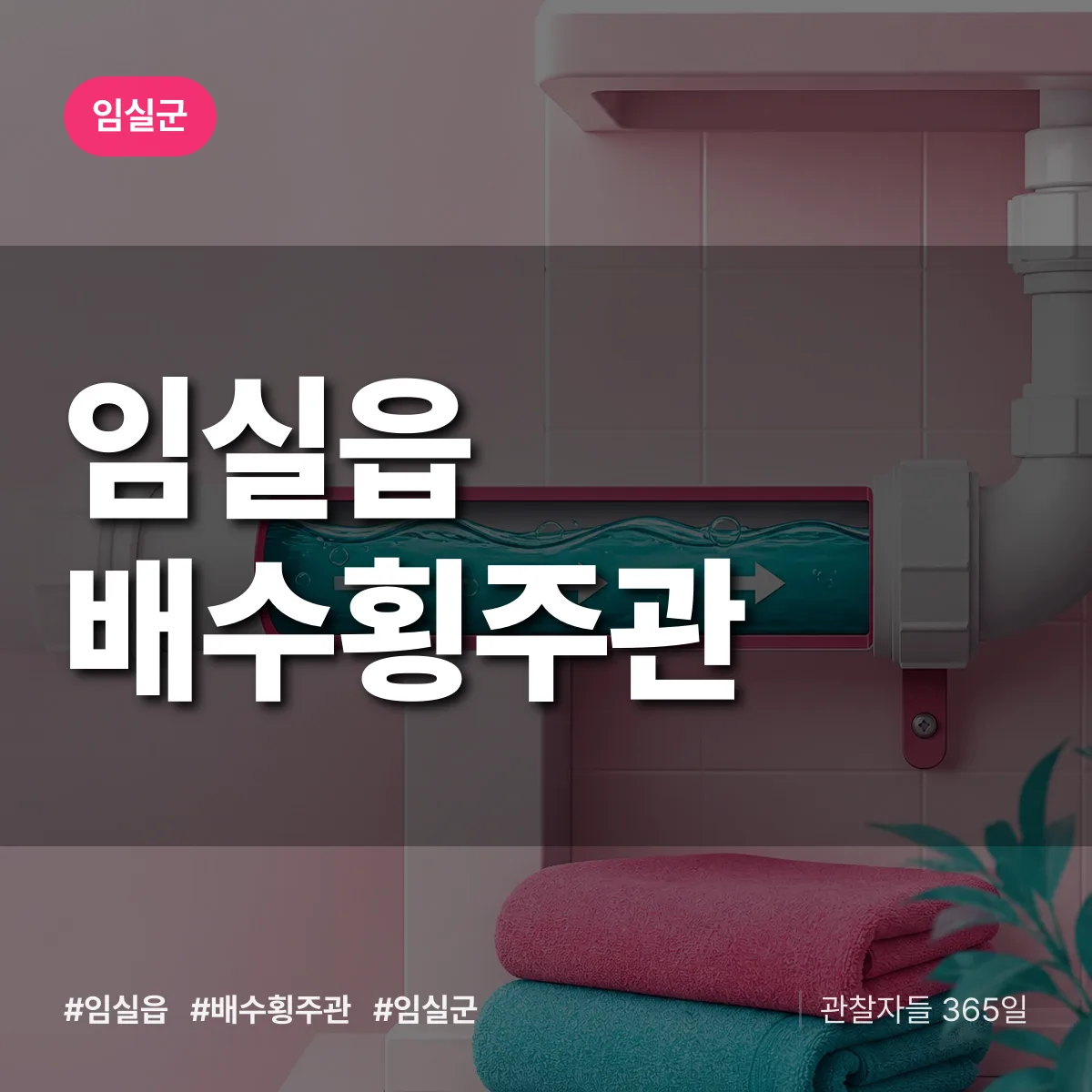 임실읍 배수횡주관 배너