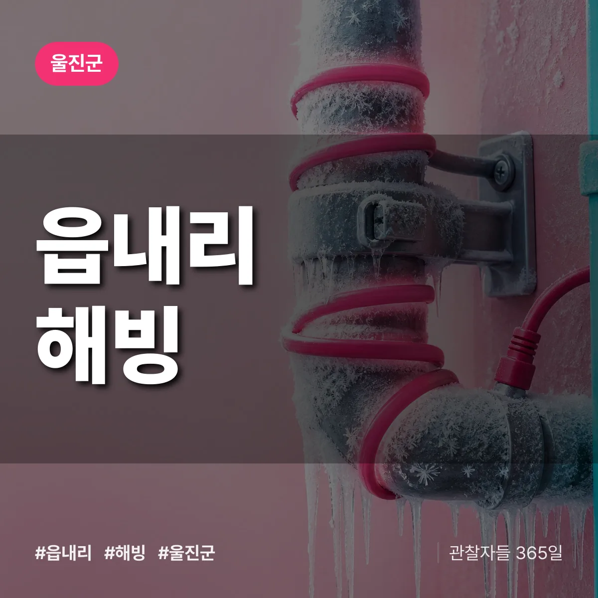 읍내리 해빙 배너