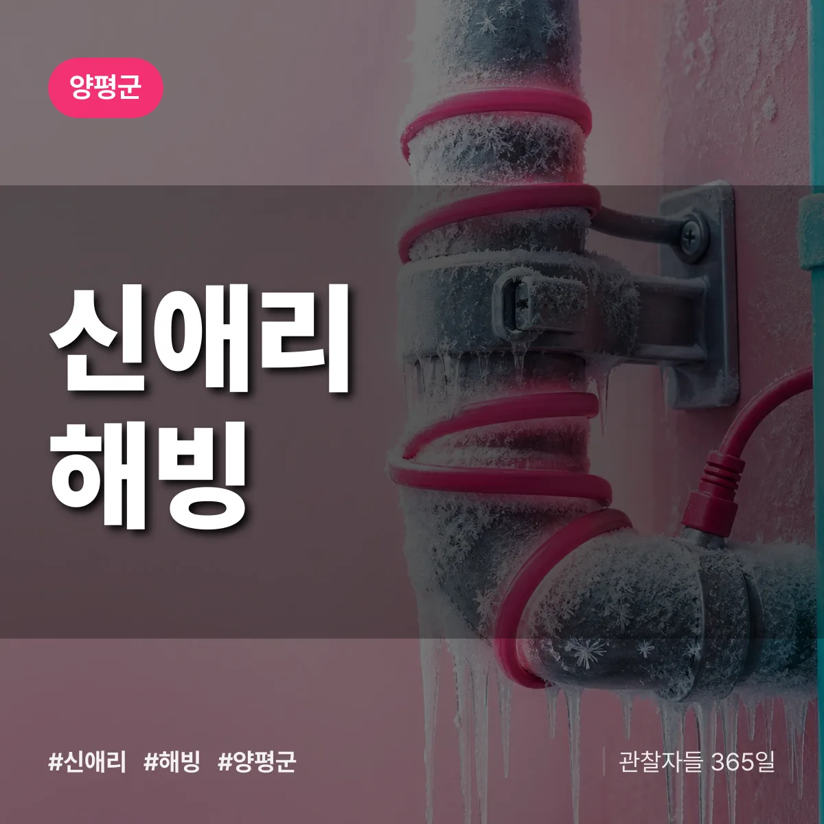 신애리 해빙 배너