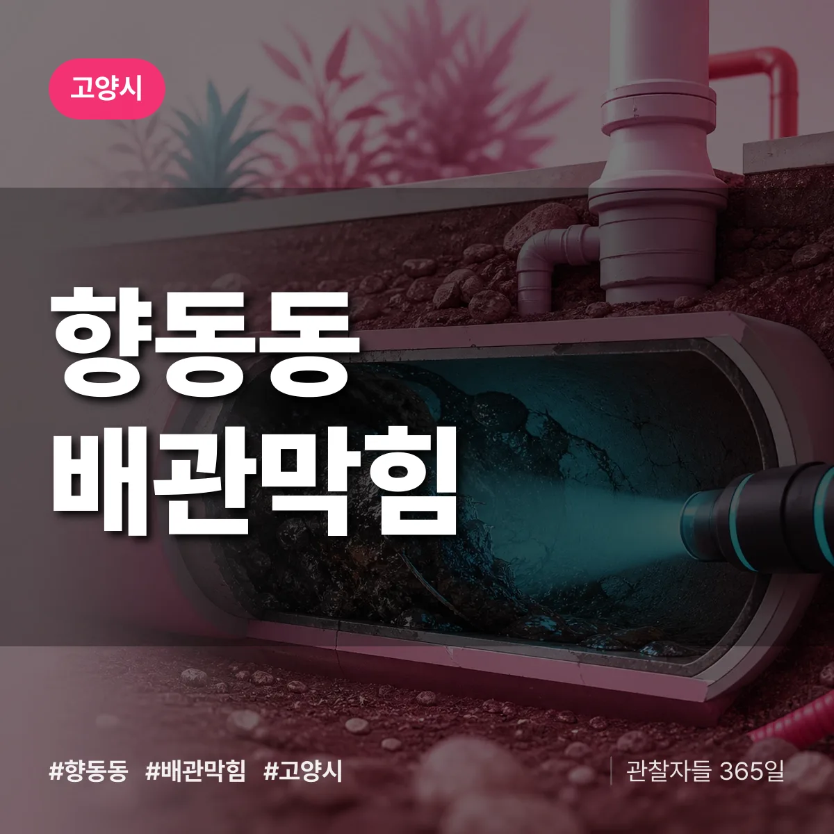 고양시 향동동 배관막힘 상담 배너