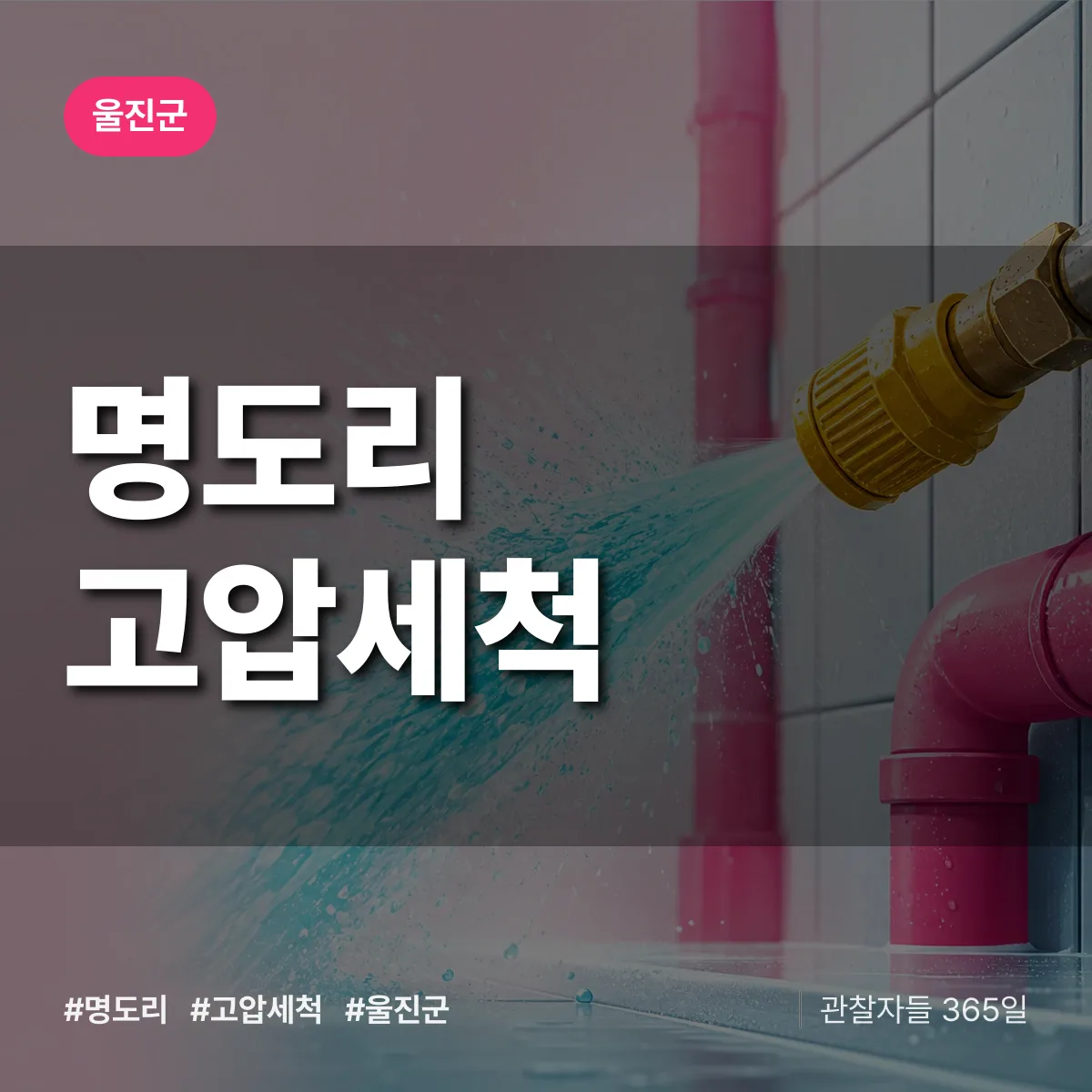 명도리 고압세척 배너