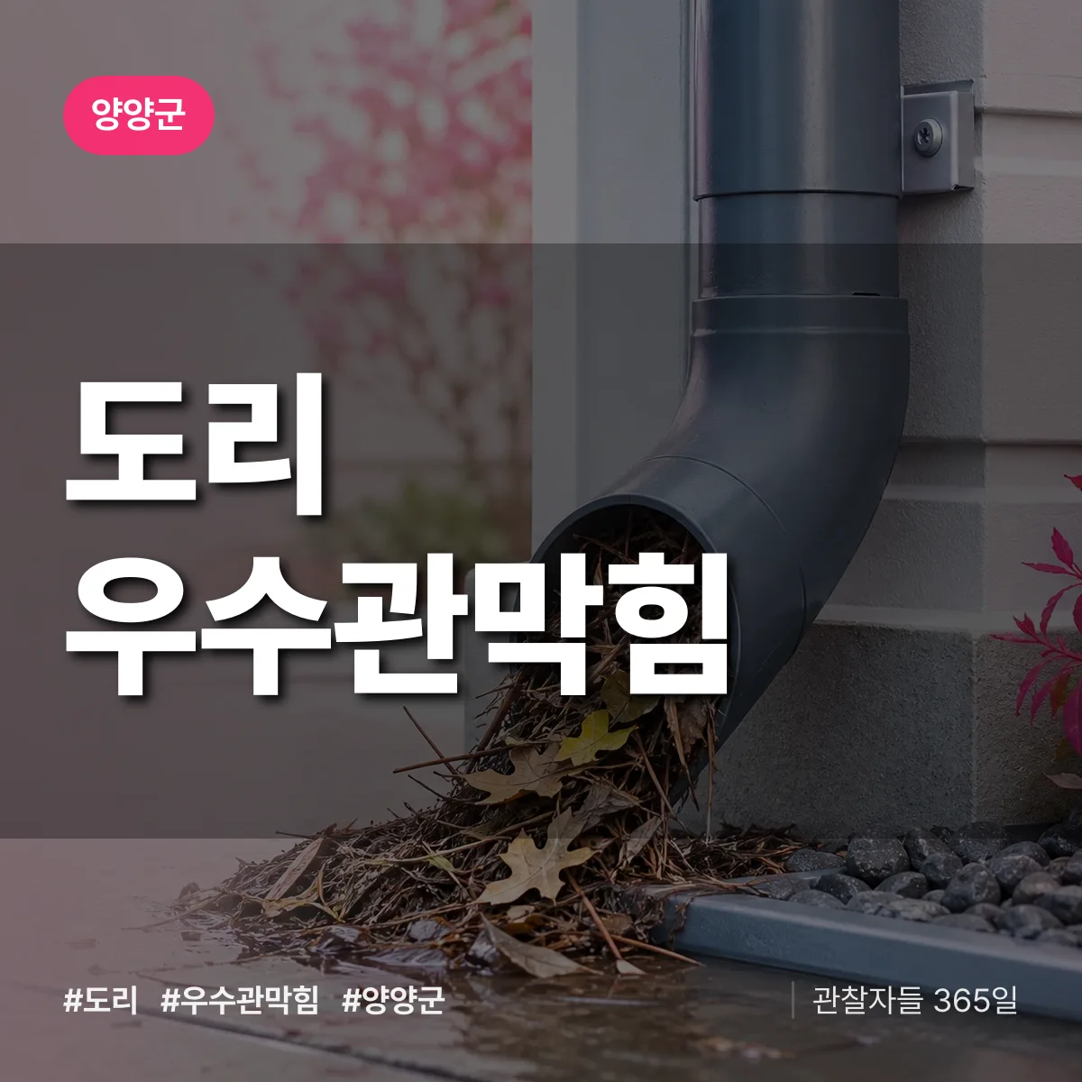도리 우수관막힘 배너