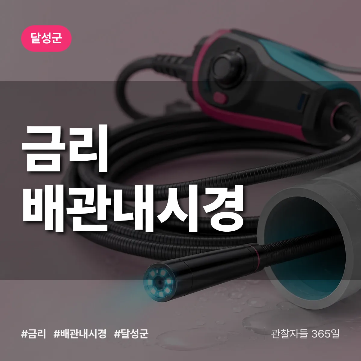 금리 배관내시경 배너