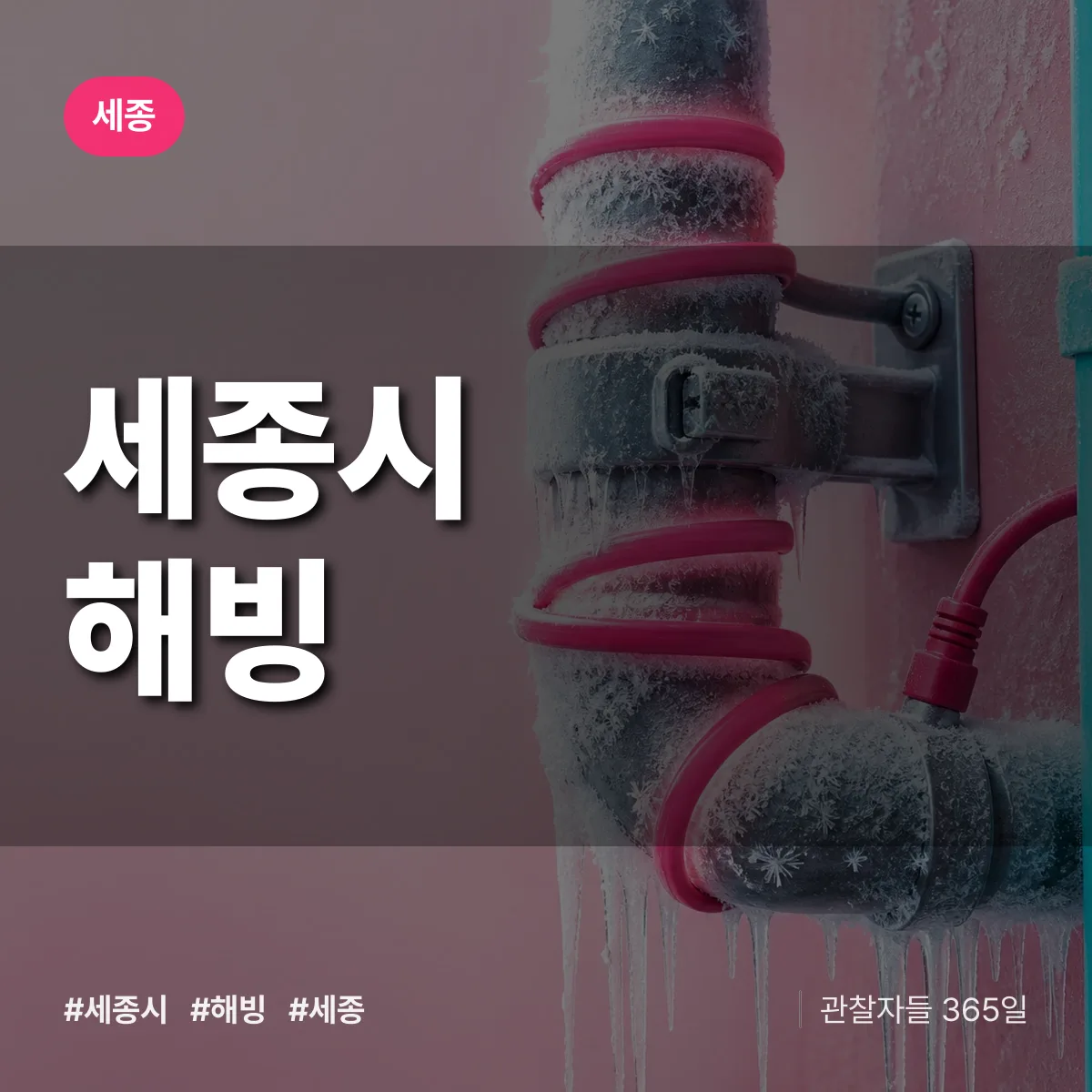 세종시 해빙 배너