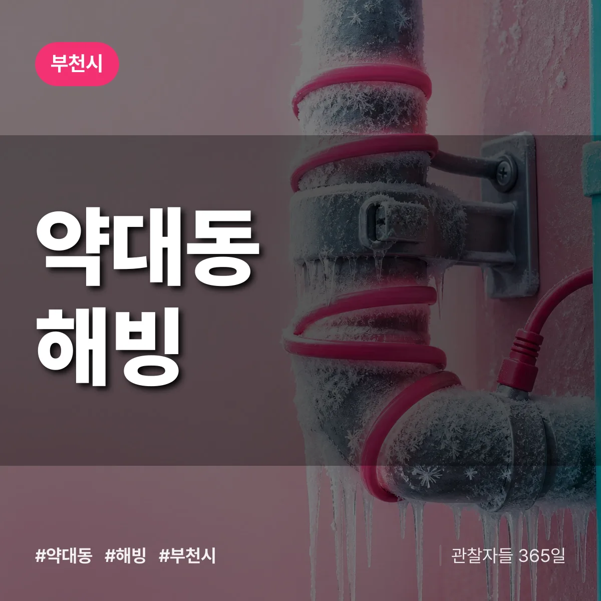 약대동 해빙 배너