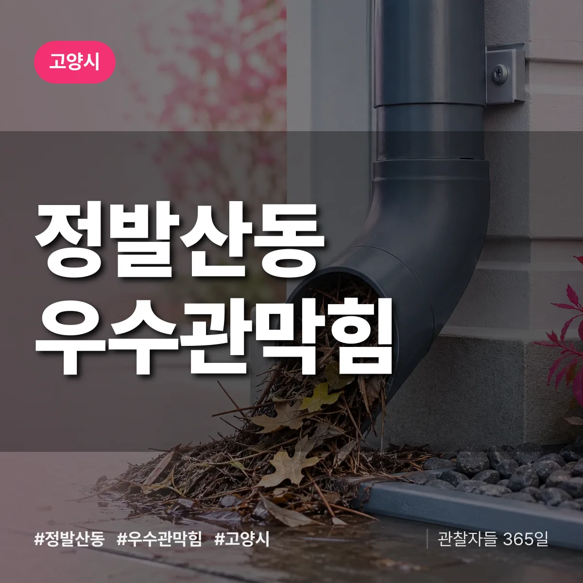 정발산동 우수관막힘 배너