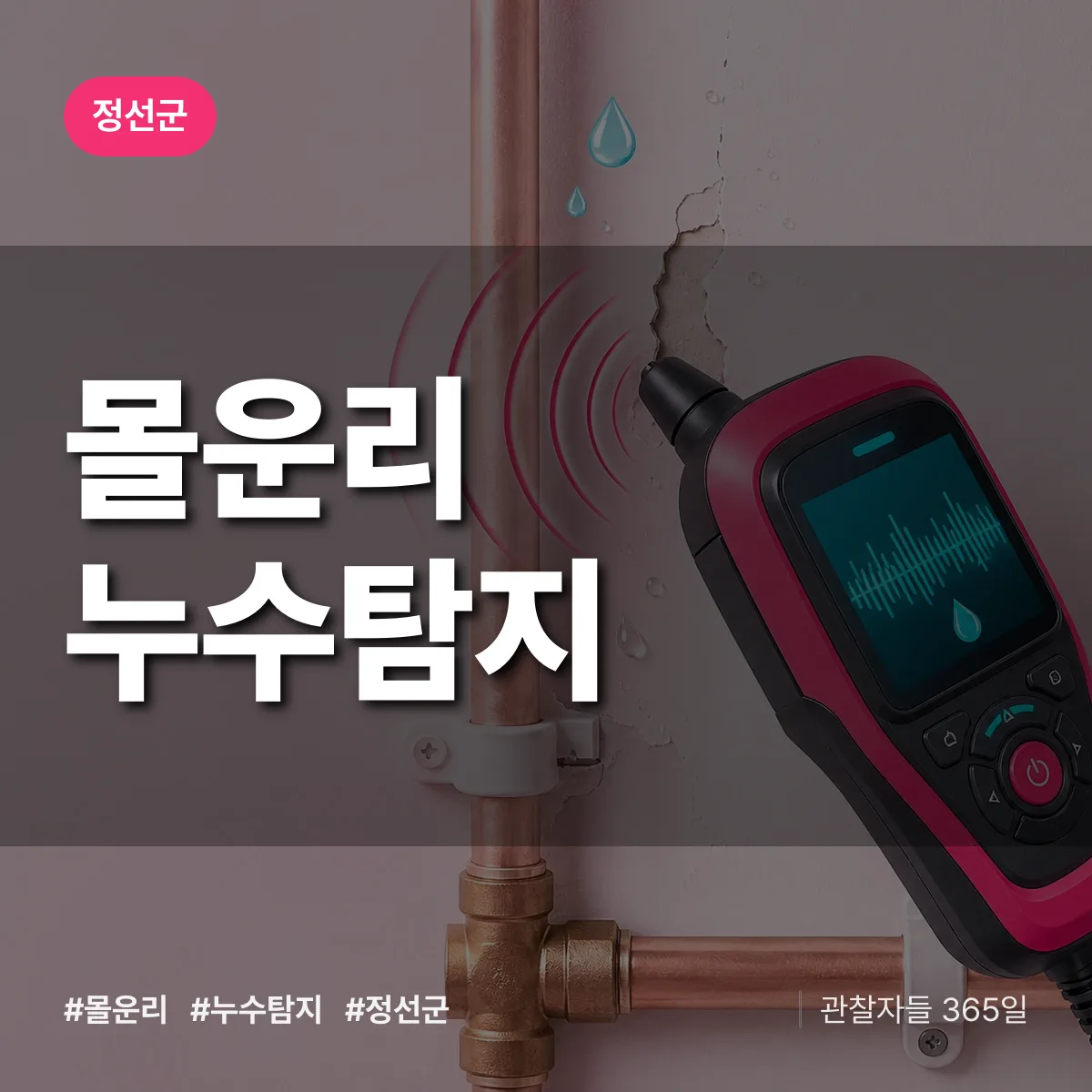 몰운리 누수탐지 배너