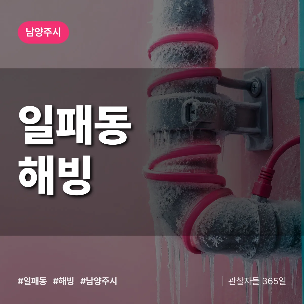 일패동 해빙 배너