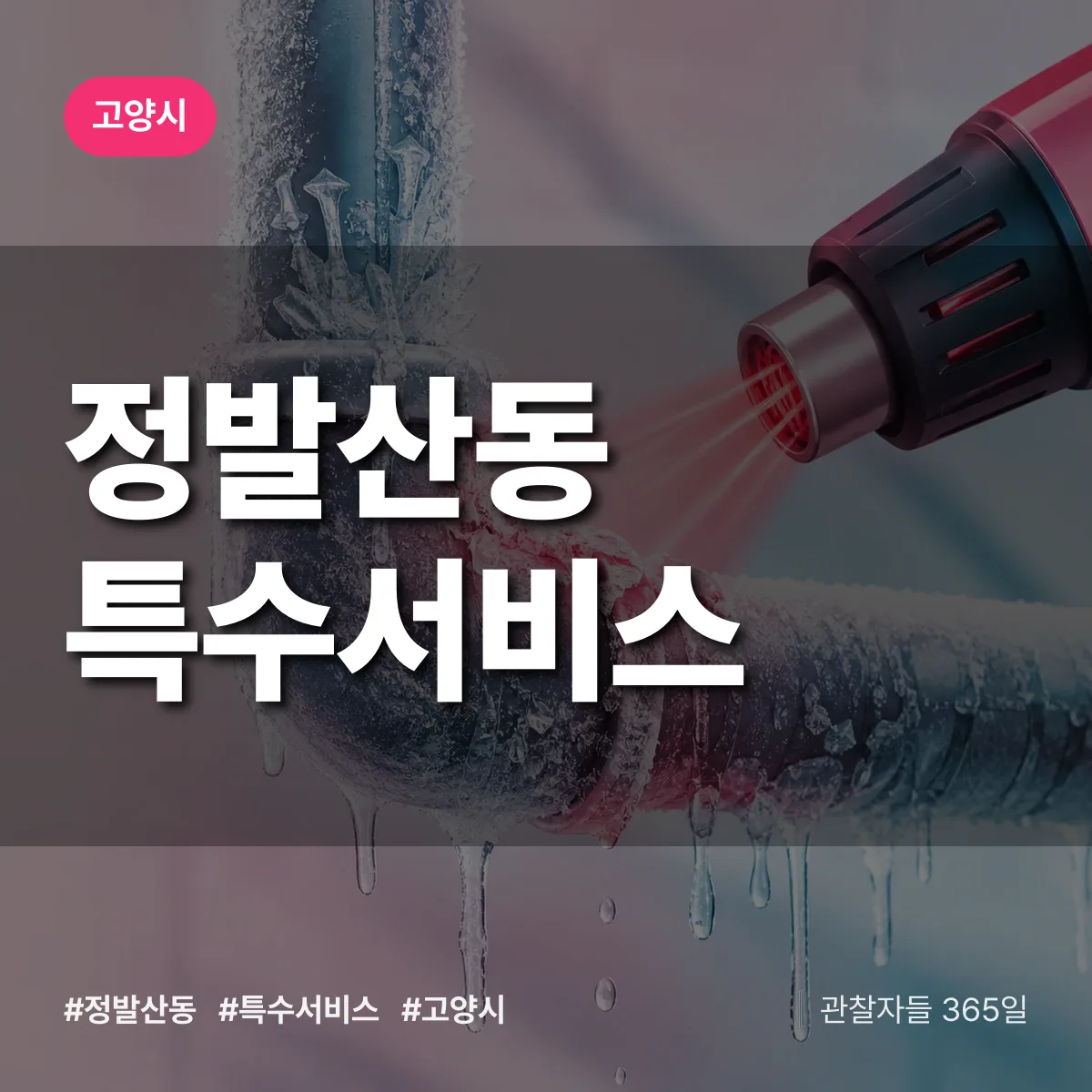 고양시 정발산동 특수서비스 상담 배너