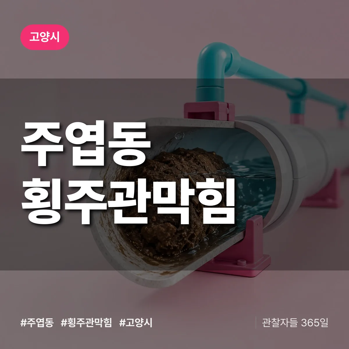 고양시 주엽동 횡주관막힘 상담 배너